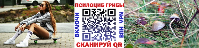 hydra как зайти  Агидель  Псилоцибиновые грибы ЛСД  где купить наркоту 